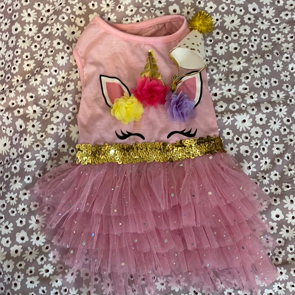 Happy Birthday to me doggie party dress and hat!